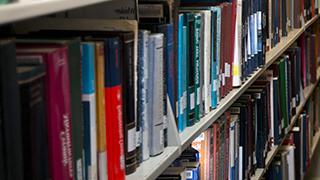 Image of library books on a shelf